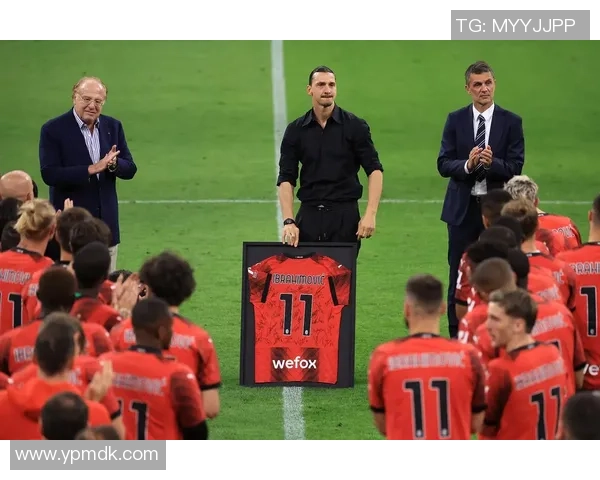 瑞典足球美女球星：从绿茵场到时尚圈的多重魅力与成就