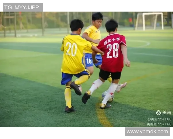 长城足球球星的拼搏故事展现体育精神与团队凝聚力量